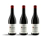 Arnaud Baillot Teurons Beaune 1er Cru 2024 - 75cl - vignette 3
