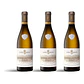 Albert Bichot Chassagne-Montrachet Morgeot Blanc Premier Cru 2023 - 75cl - Thumbnail 3