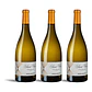 Gerard Bertrand Saint Victor Viognier 2023 - 75cl - Thumbnail 3