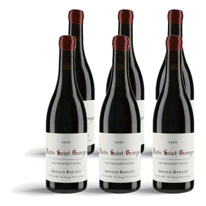 Arnaud Baillot Nuits-Saint-Georges Les Grands Vignes 2023 - 75cl 4