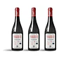 Paul Jaboulet Aîné Paralléle 45 Rouge Bio 2024 - 75cl - vignette 3