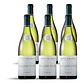 William Fèvre Petit Chablis 2024 - 75cl - Thumbnail 4