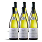 William Fèvre Chablis 2024 - 75cl - miniatura 4