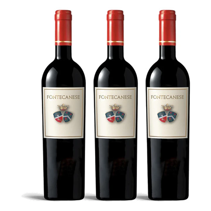 Castello di Montepò Fontecanese Rosso 2019 - 75cl 3
