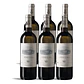 Ornellaia Bianco 2019 - 1,5l - thumbnail 4