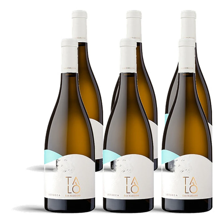 San Marzano Talò Verdeca 2023 - 75cl 4