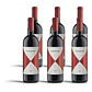 Gaja Camarcanda 2021 - 75cl - Thumbnail 4