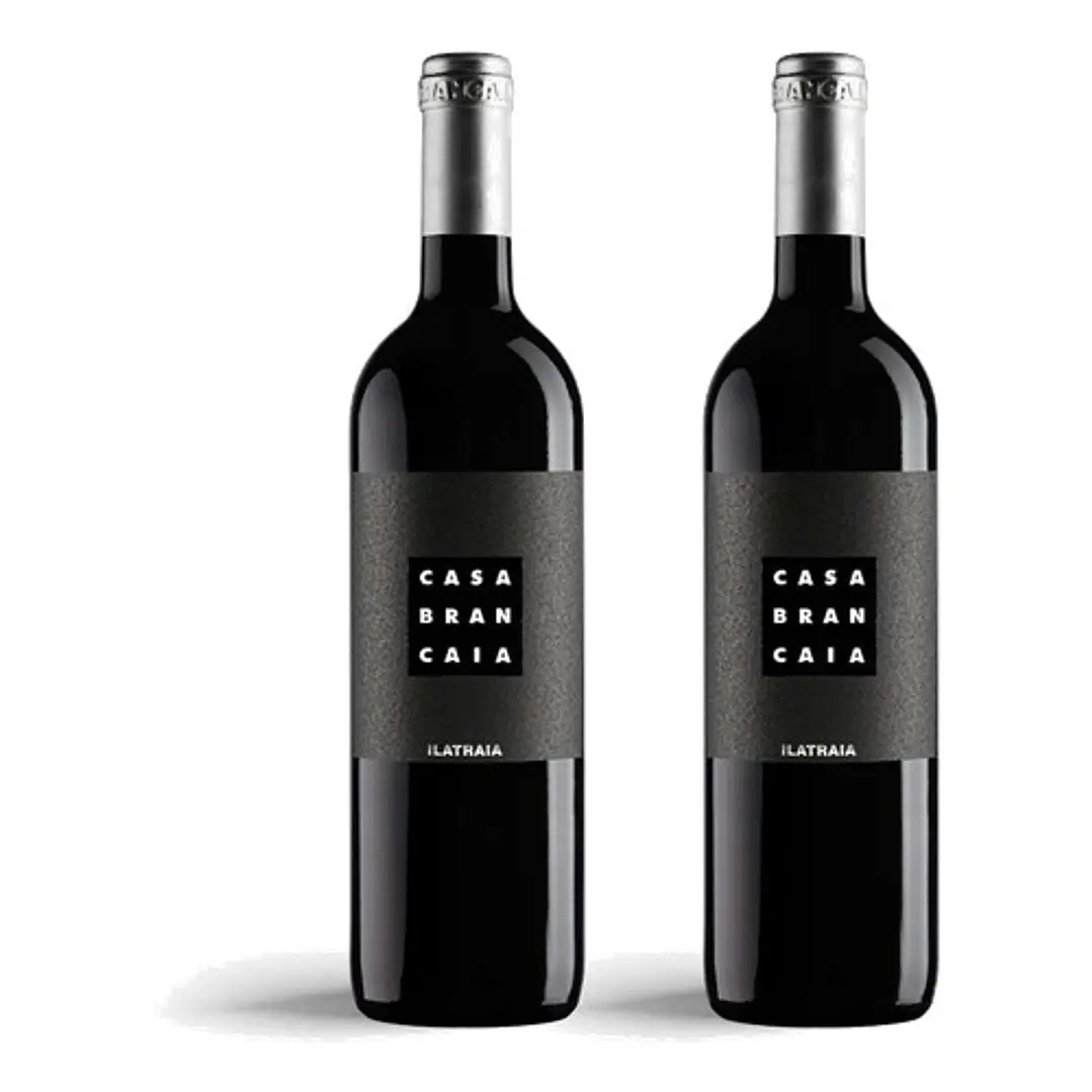 Brancaia Ilatraia 2020 - 75cl 2