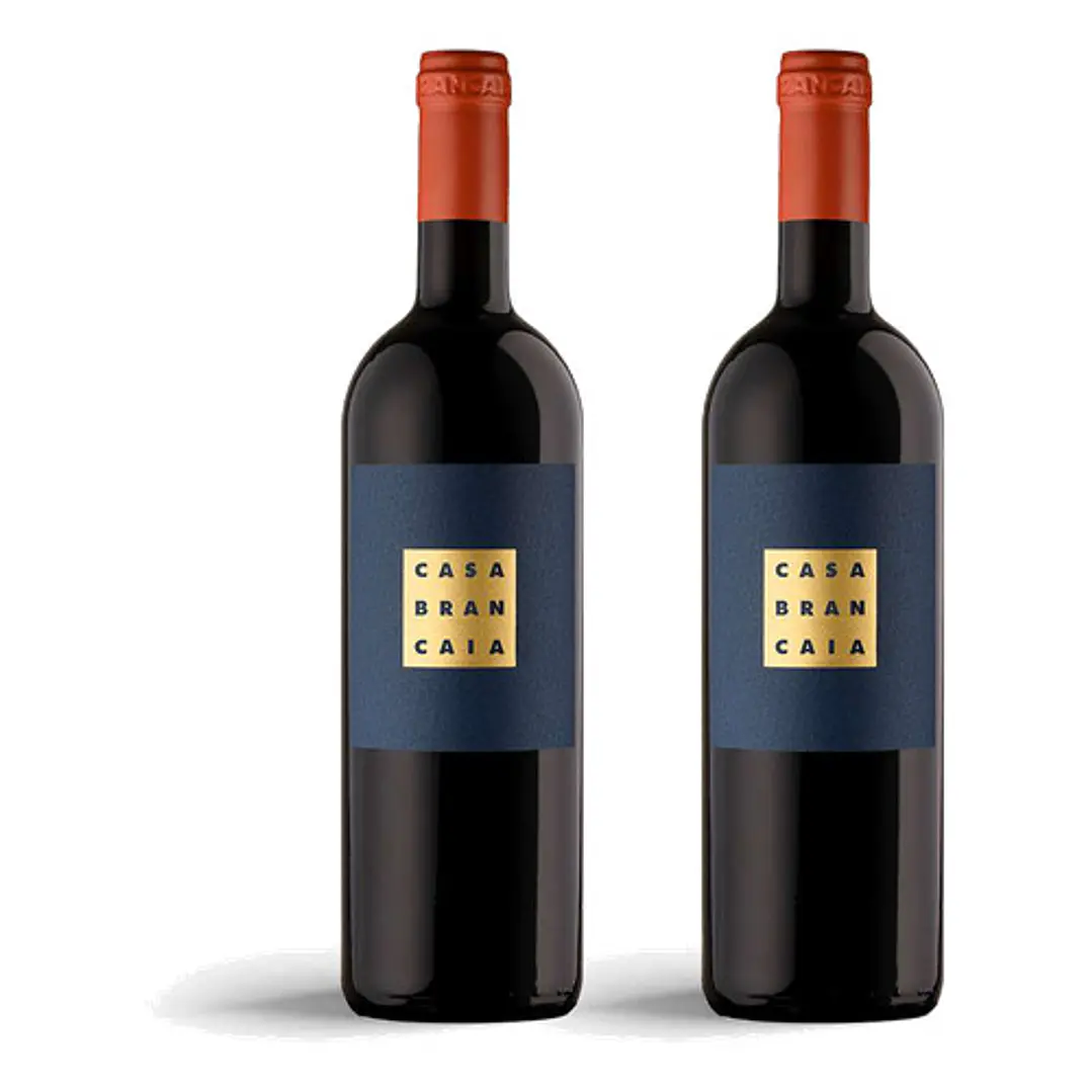 Brancaia Il Blu 2020 - 75cl 2