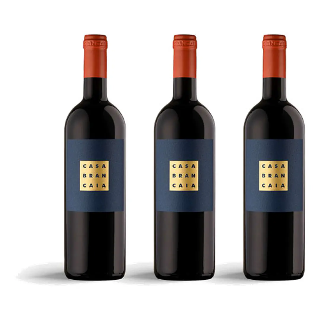 Brancaia Il Blu 2020 - 75cl 3