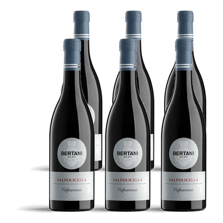 Bertani Valpolicella Valpantena 2024 - 75cl 4
