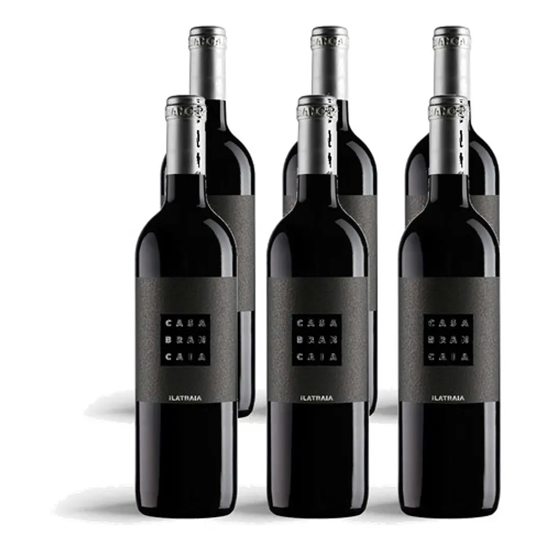Brancaia Ilatraia 2021 - 75cl 4