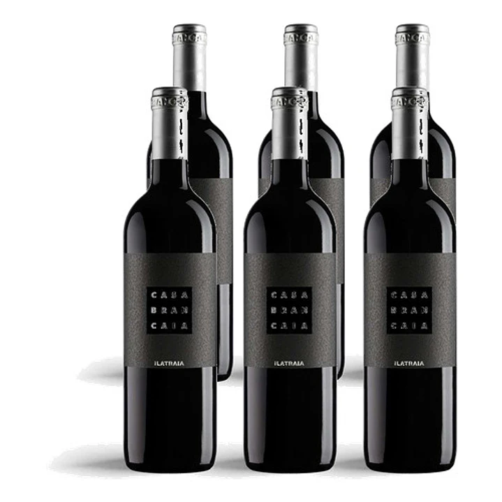 Brancaia Ilatraia 2021 - 75cl 4