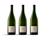 Isole e Olena Chardonnay 2024 - 75cl - Miniatura 3