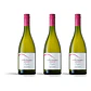 La Pettegola Vermentino 2025 - 75cl - Miniatura 3
