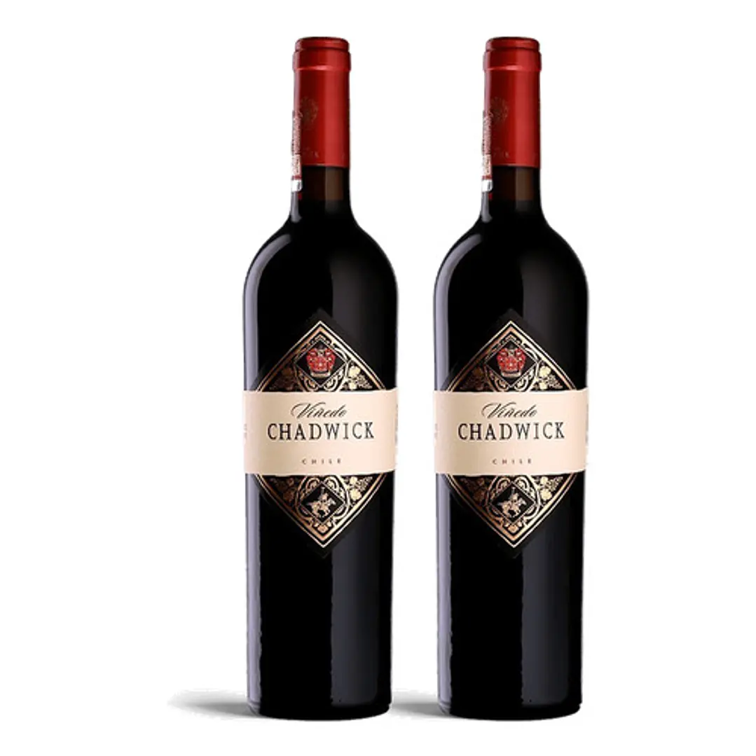 Viñedo Chadwick 2013 - 75cl 2