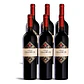 Viñedo Chadwick 2011 - 75cl - Miniatura 4