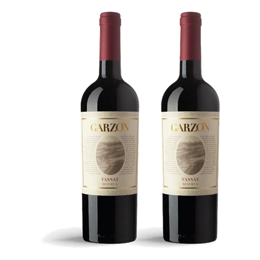 Bodega Garzón Estate Tannat Reserva 2023 - 75cl 2
