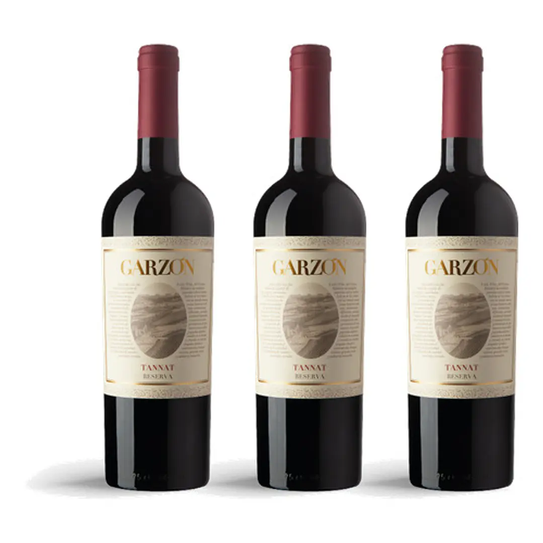 Bodega Garzón Estate Tannat Reserva 2023 - 75cl 3