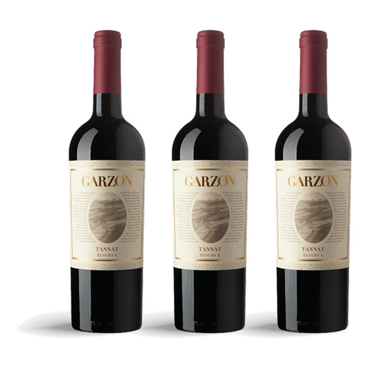 Bodega Garzón Estate Tannat Reserva 2023 - 75cl 3