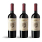 Bodega Garzón Estate Tannat Reserva 2023 - 75cl - Miniatura 3