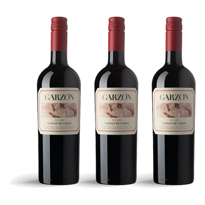 Bodega Garzón Estate Tannat de Corte 2023 - 75cl 3