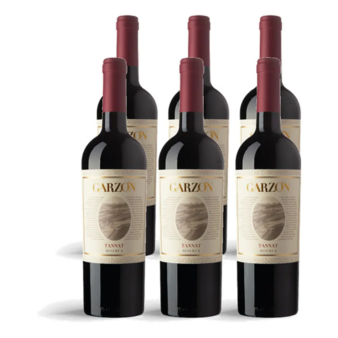 Bodega Garzón Estate Tannat Reserva 2023 - 75cl 4