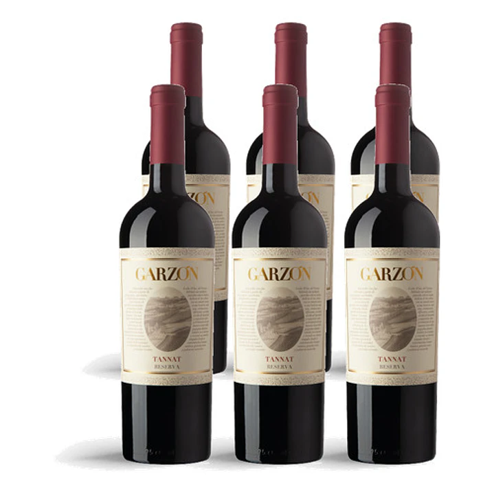 Bodega Garzón Estate Tannat Reserva 2023 - 75cl 4