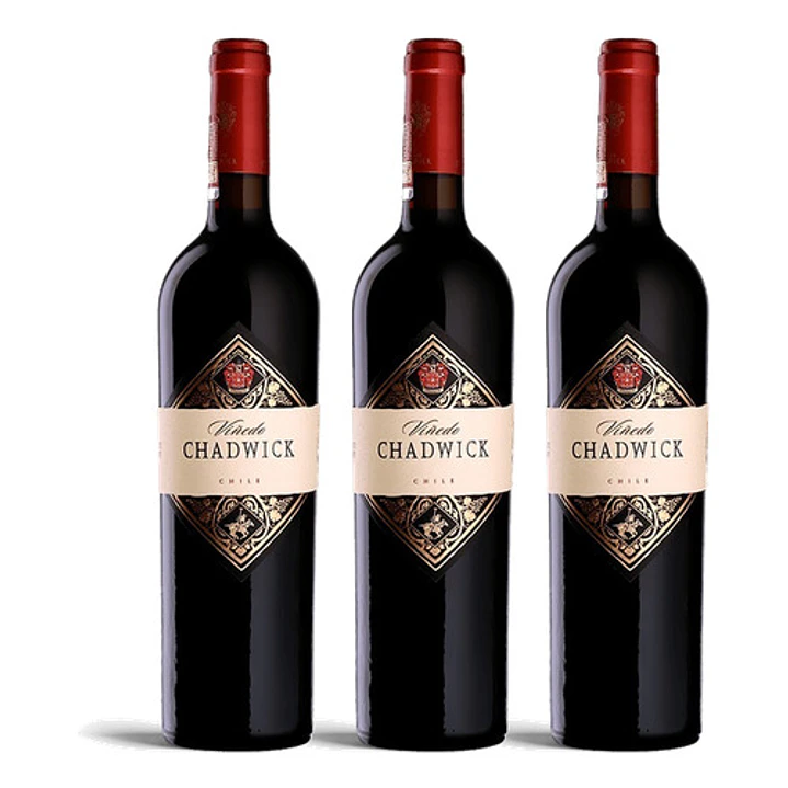 Viñedo Chadwick 2022 - 75cl 3