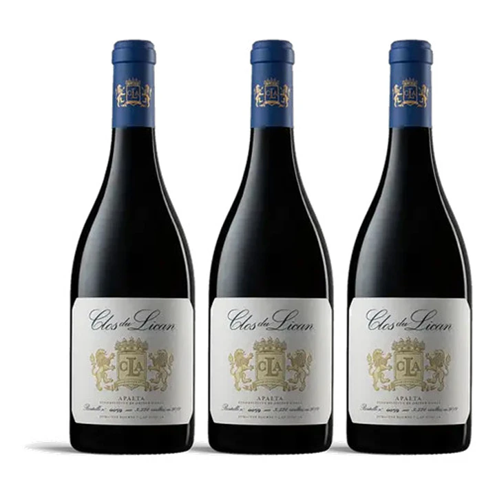 Clos du Lican 2021 - 75cl 3