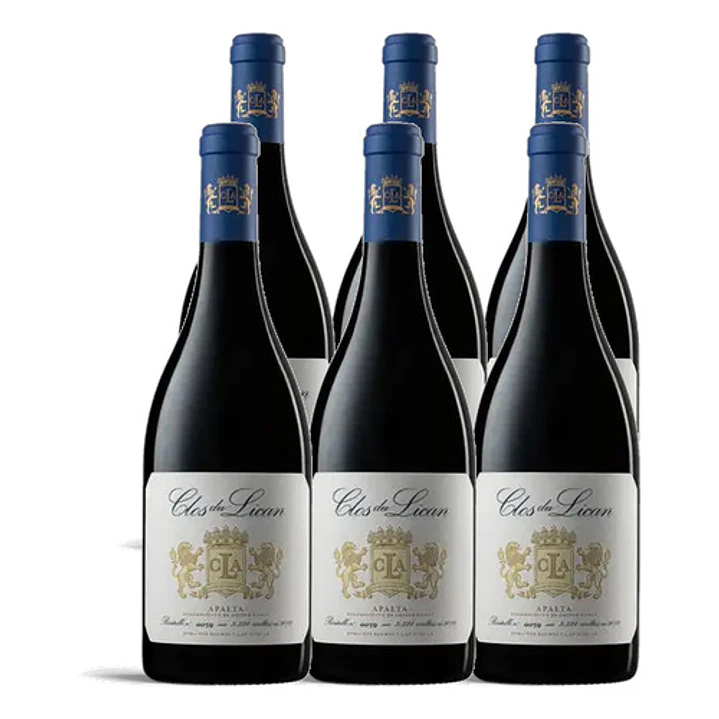Clos du Lican 2021 - 75cl 4