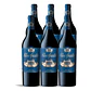 Clos Apalta 2021 - 75cl - Vorschaubild 4