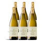 Marimar Estate La Masia Don Miguel Vineyard Chardonnay 2023 - 75cl - thumbnail 4