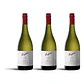 Penfolds Max's Chardonnay 2019 - 75cl - Vorschaubild 3