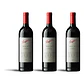 Penfolds Bin 707 Cabernet Sauvignon 2021 - 75cl - Miniatura 3