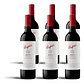 Penfolds Max's Shiraz 2021 - 75cl - miniatura 4