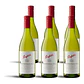 Penfolds Koonunga Hill Chardonnay 2024 - 75cl - vignette 4