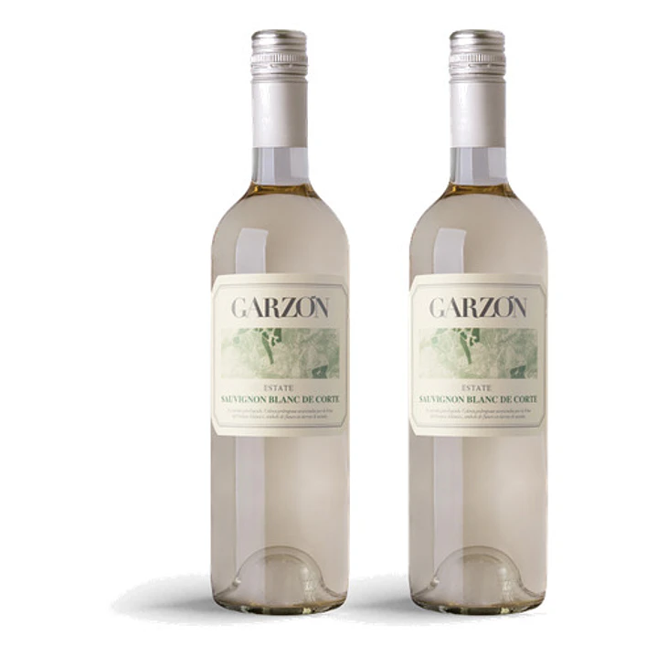 Bodega Garzón Estate Sauvignon Blanc de Corte 2024 - 75cl 2