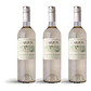 Bodega Garzón Estate Sauvignon Blanc de Corte 2024 - 75cl - Vorschaubild 3