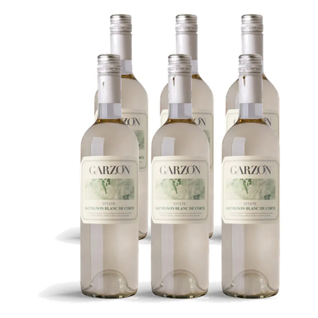 Bodega Garzón Estate Sauvignon Blanc de Corte 2024 - 75cl 4