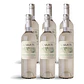 Bodega Garzón Estate Sauvignon Blanc de Corte 2024 - 75cl - Vorschaubild 4