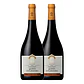 Quinta da Gândara Grande Reserva Touriga Nacional 75 cl - thumbnail 2