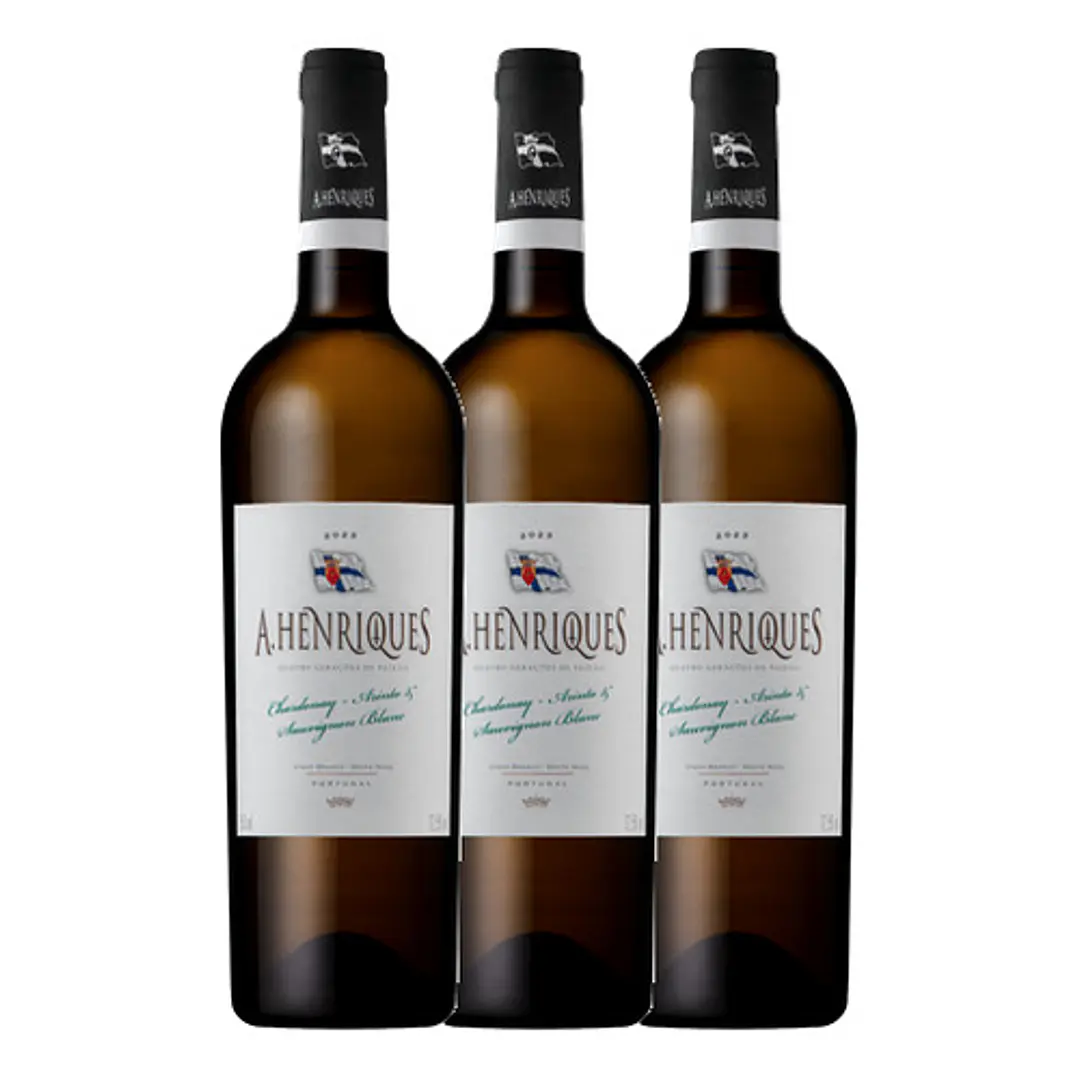 A. Henriques Branco 