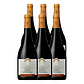Quinta da Gândara Grande Reserva Touriga Nacional 75 cl - thumbnail 4