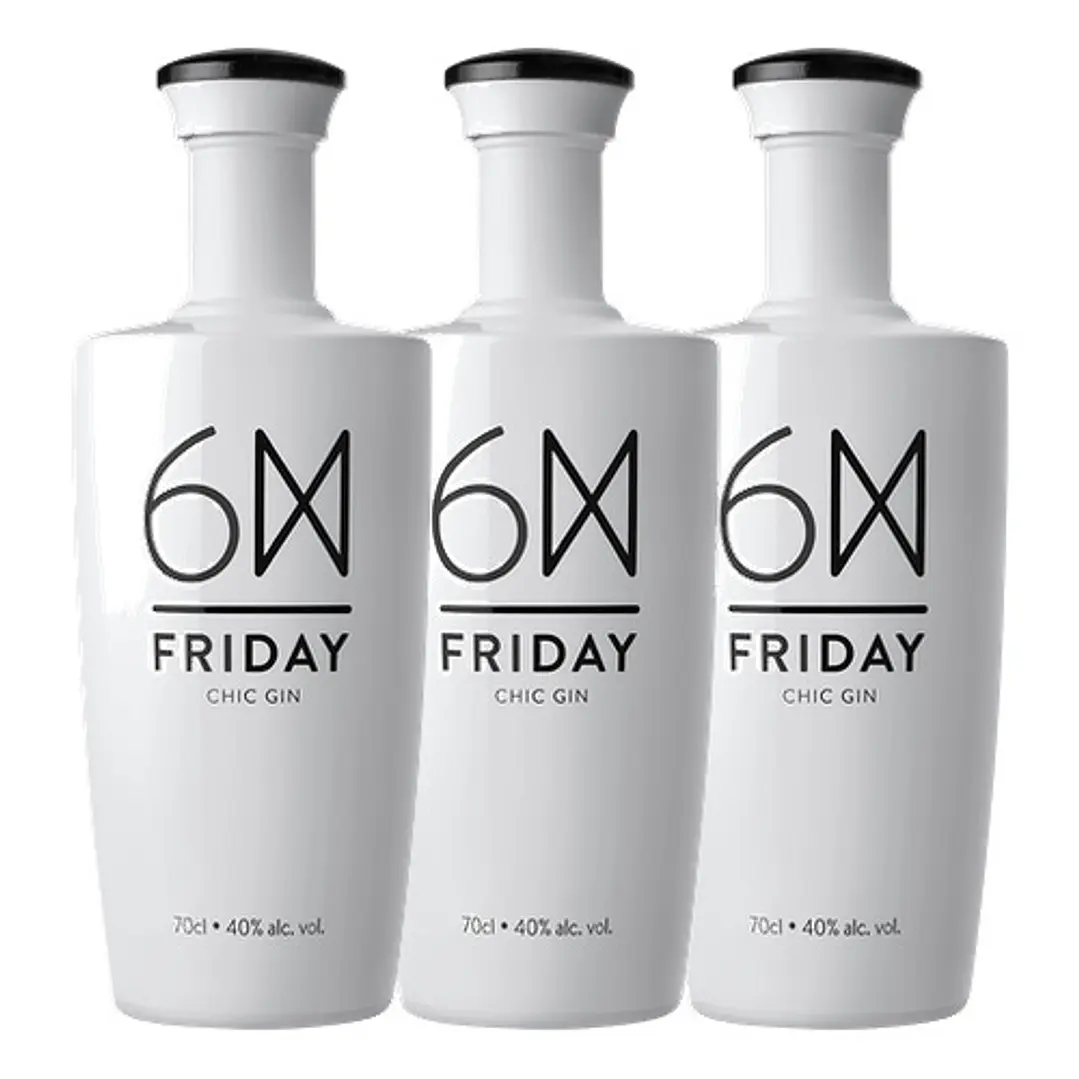 Gin FRIDAY 70 cl 3