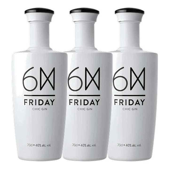 Gin FRIDAY 70 cl 3