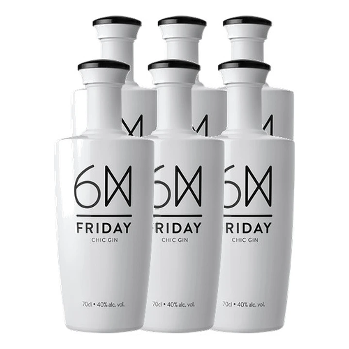 Gin FRIDAY 70 cl 4