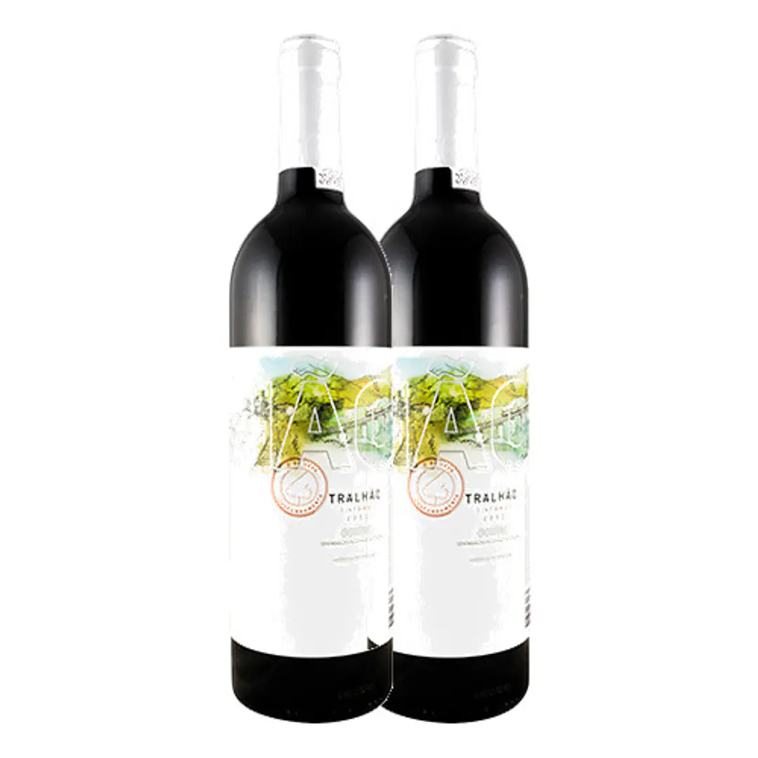 TRALHÃO Niepport Tinto Douro 2013 2