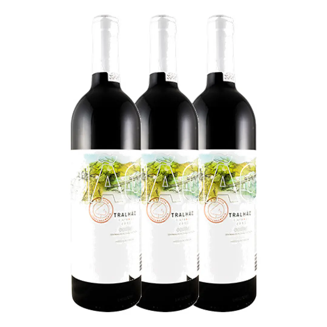 TRALHÃO Niepport Tinto Douro 2013 3