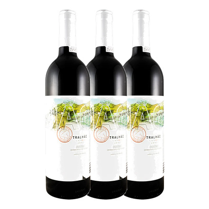 TRALHÃO Niepport Tinto Douro 2013 3